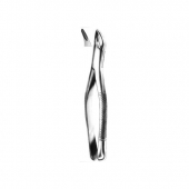 Extracting Forceps American Pattern